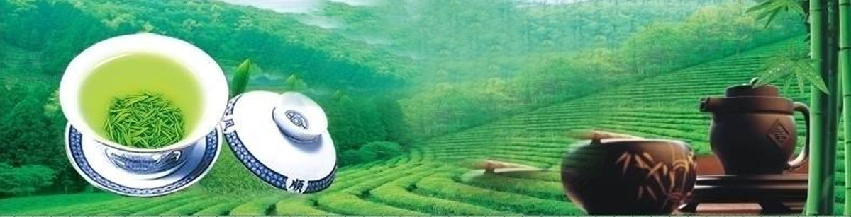 铁观音