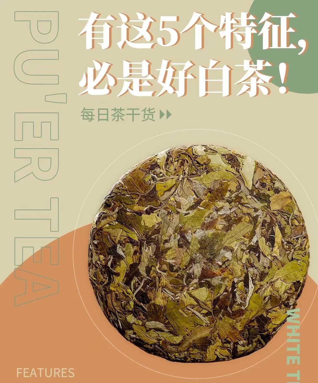 优质的白茶有什么特征？（什么样特征的白茶才是高品质的茶？）