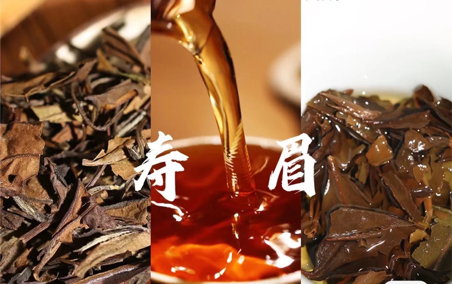 老寿眉茶的口感和枣香味怎么样？（老寿眉茶的口感特点如何）