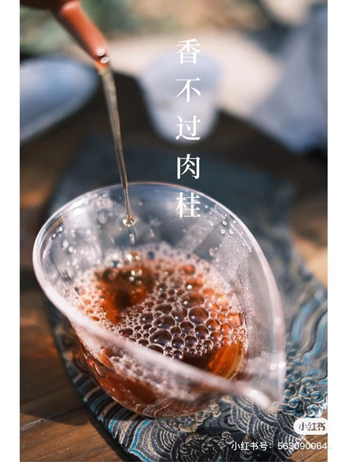 武夷岩茶当家花旦之肉桂（武夷肉桂茶详细介绍）