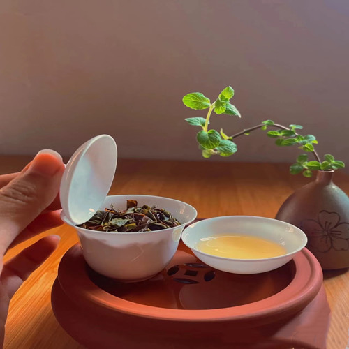 为什么冬天需多喝茶，冬天喝什么茶比较合适？