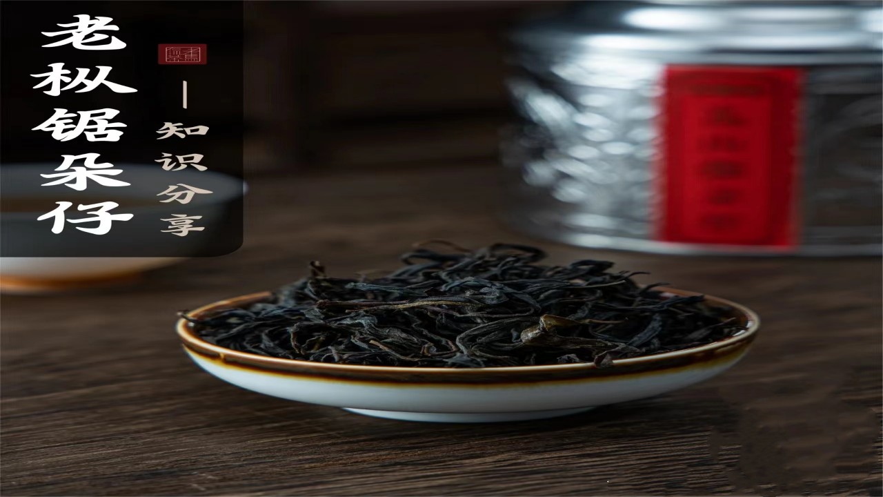 凤凰单枞其中一款著名茶叶---老枞锯朵仔