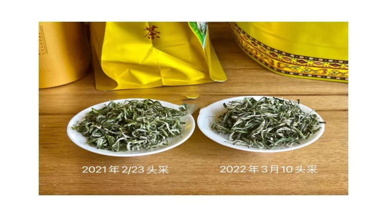学会科学合理存茶，保存茶叶最好的口感