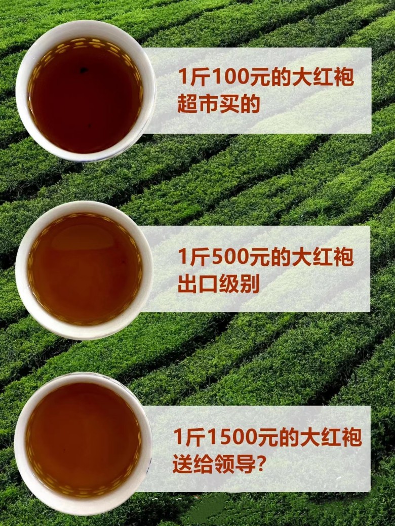市场上不同价钱的大红袍有什么区别，口感差在哪里？