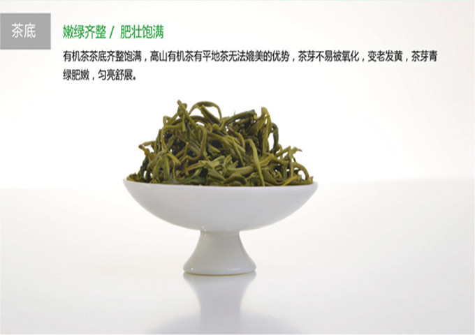 峨眉雪芽和竹叶青茶外观差不多，有什么区别，特征是什么