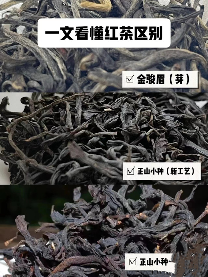 教你看懂红茶正山小种和金骏眉的区别