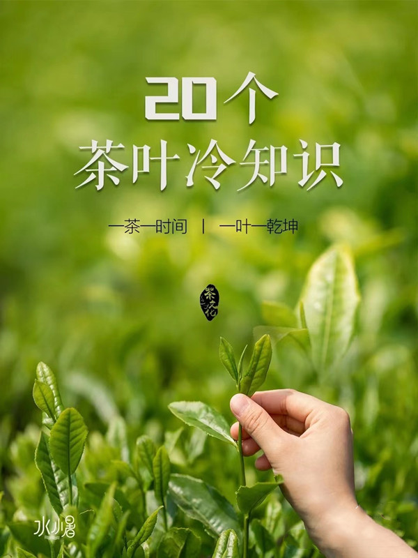 20个茶叶冷知识，必须知道的喝茶文化小知识