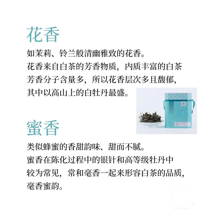 白茶为什么有香气，白茶的九种香气你知道吗？