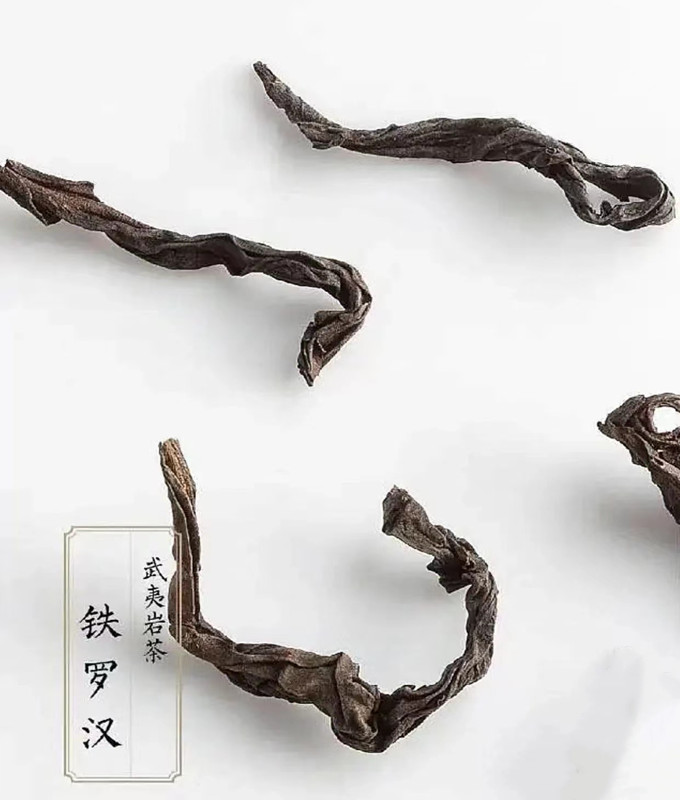 福建武夷山 四大名丛———铁罗汉