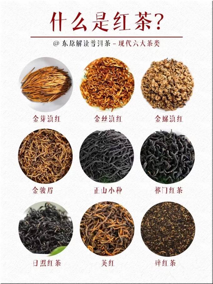 红茶有多少种类，哪种红茶更好喝